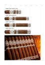 Rocky Patel Dark Star