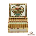 Paradiso Elegancia