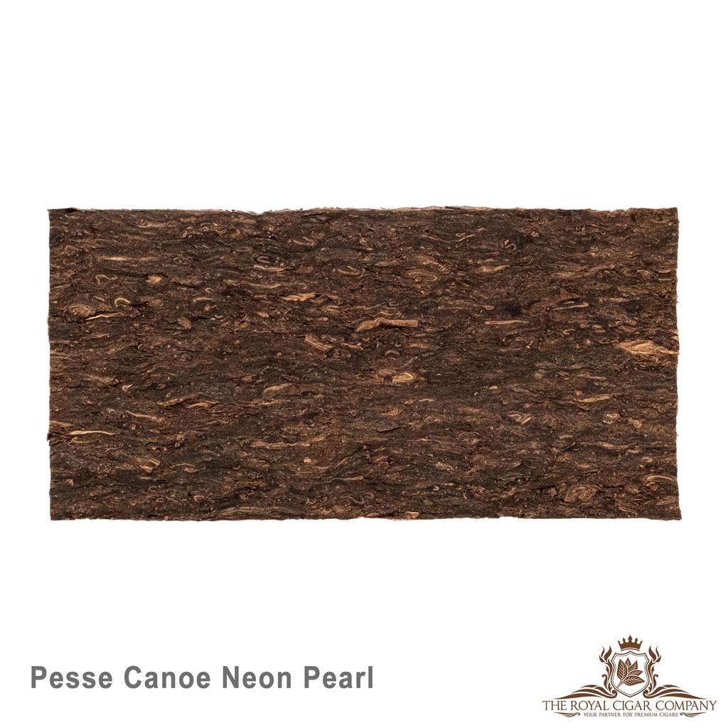 Gladora - Pesse Canoe