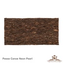 Gladora - Pesse Canoe