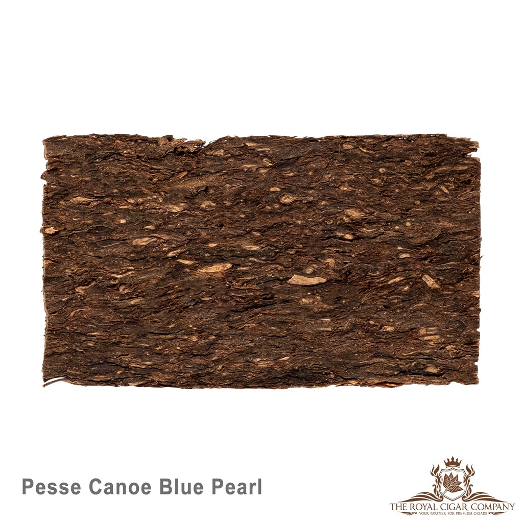 Gladora - Pesse Canoe