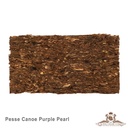 Gladora - Pesse Canoe