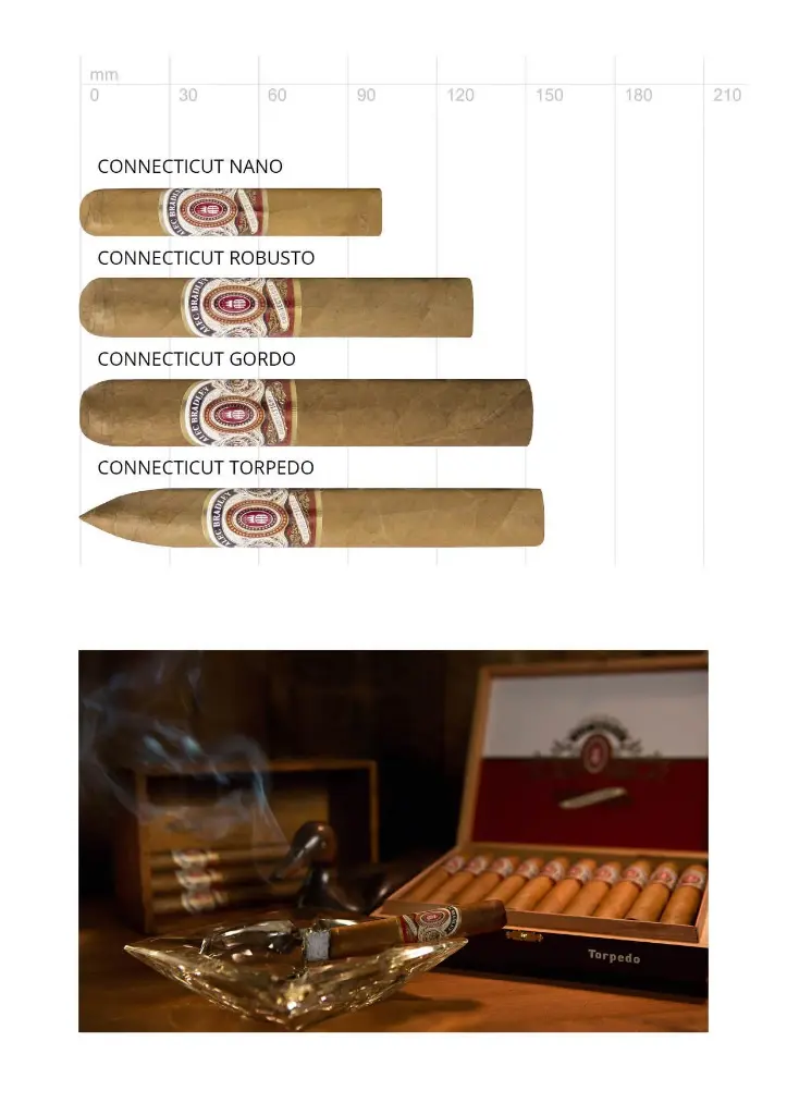 Alec Bradley Connecticut