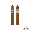 Gilbert de Montsalvat 15 years