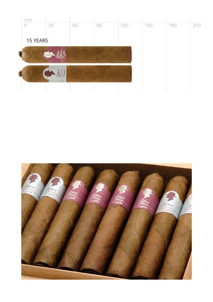Gilbert de Montsalvat 15 years