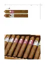 Gilbert de Montsalvat 15 years