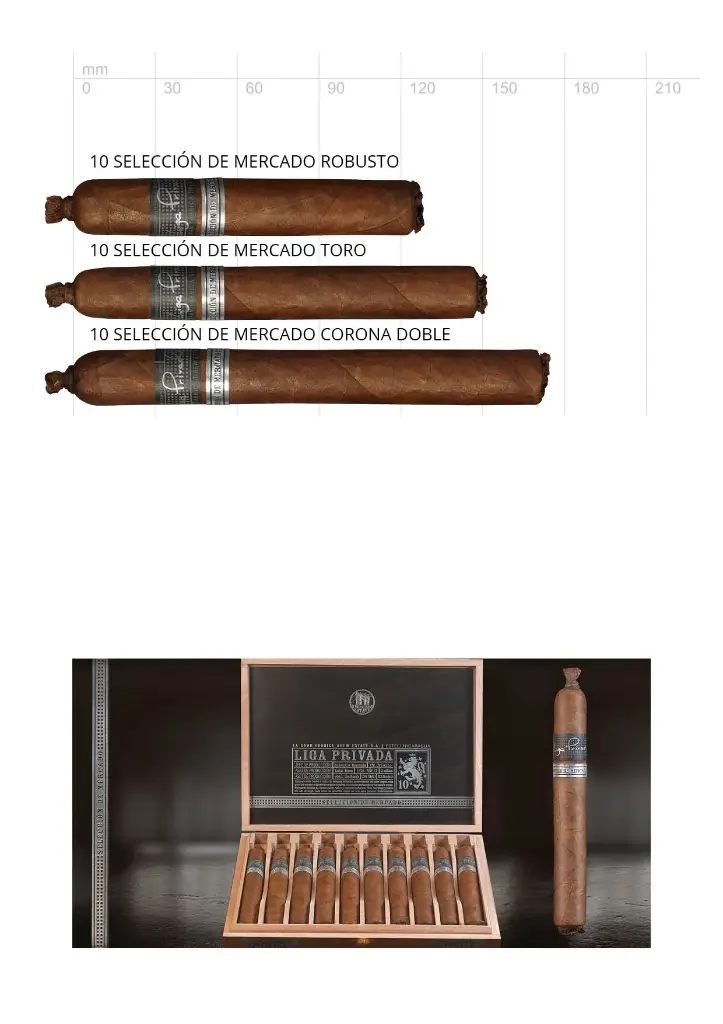 Liga Privada 10 Selección de Mercado