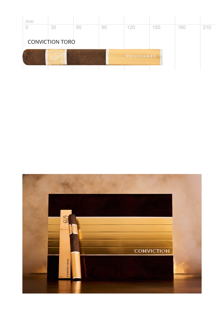 Rocky Patel Conviction