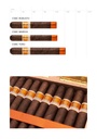 Rocky Patel CSWC