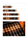 Rocky Patel Disciple