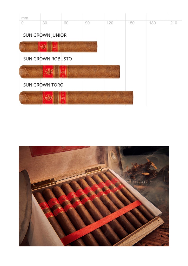 Rocky Patel Sun Grown