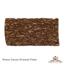 Gladora - Pesse Canoe