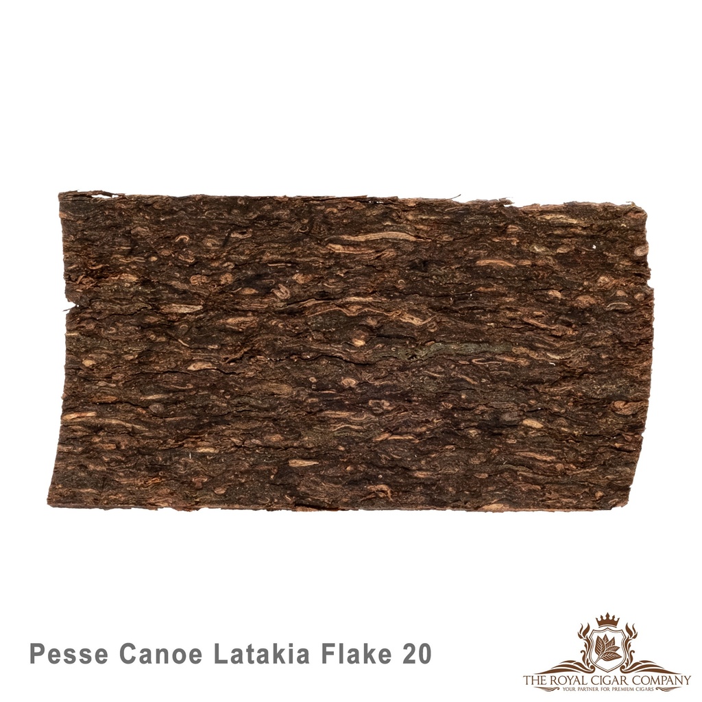 Gladora - Pesse Canoe