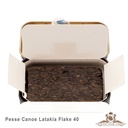 Gladora - Pesse Canoe