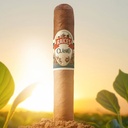 Raices Clasico