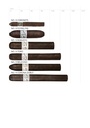 Liga Privada No. 9