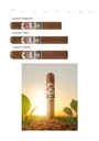 Raices Clasico