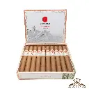 EPC New Wave Connecticut