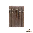 Oro de Esteli